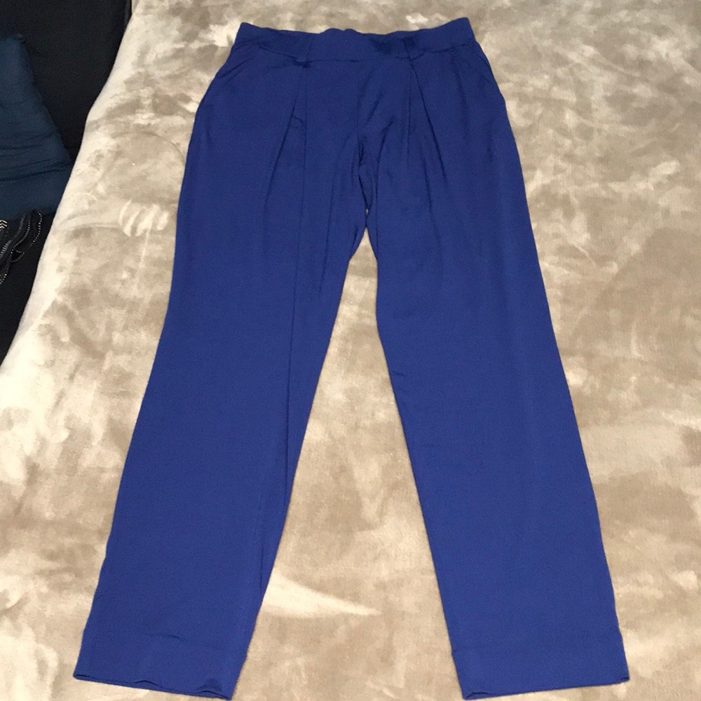 Express dressing pants